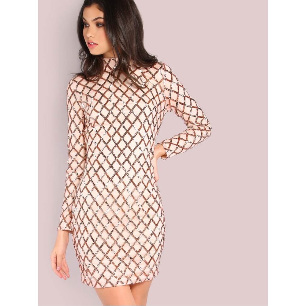 Mock Neck Sleeved Sequin Dress BLUSH